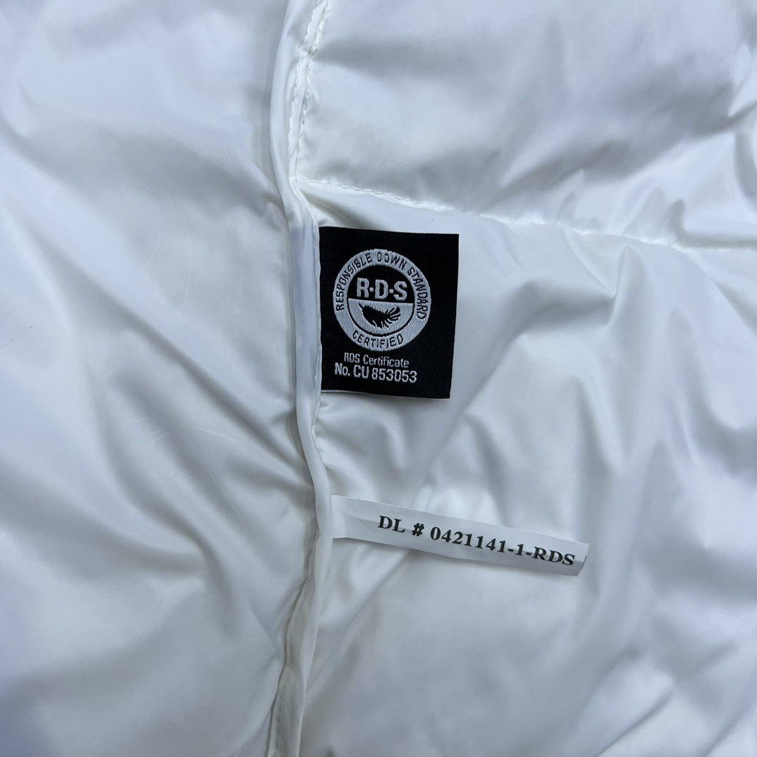 The North Face Down Jackets